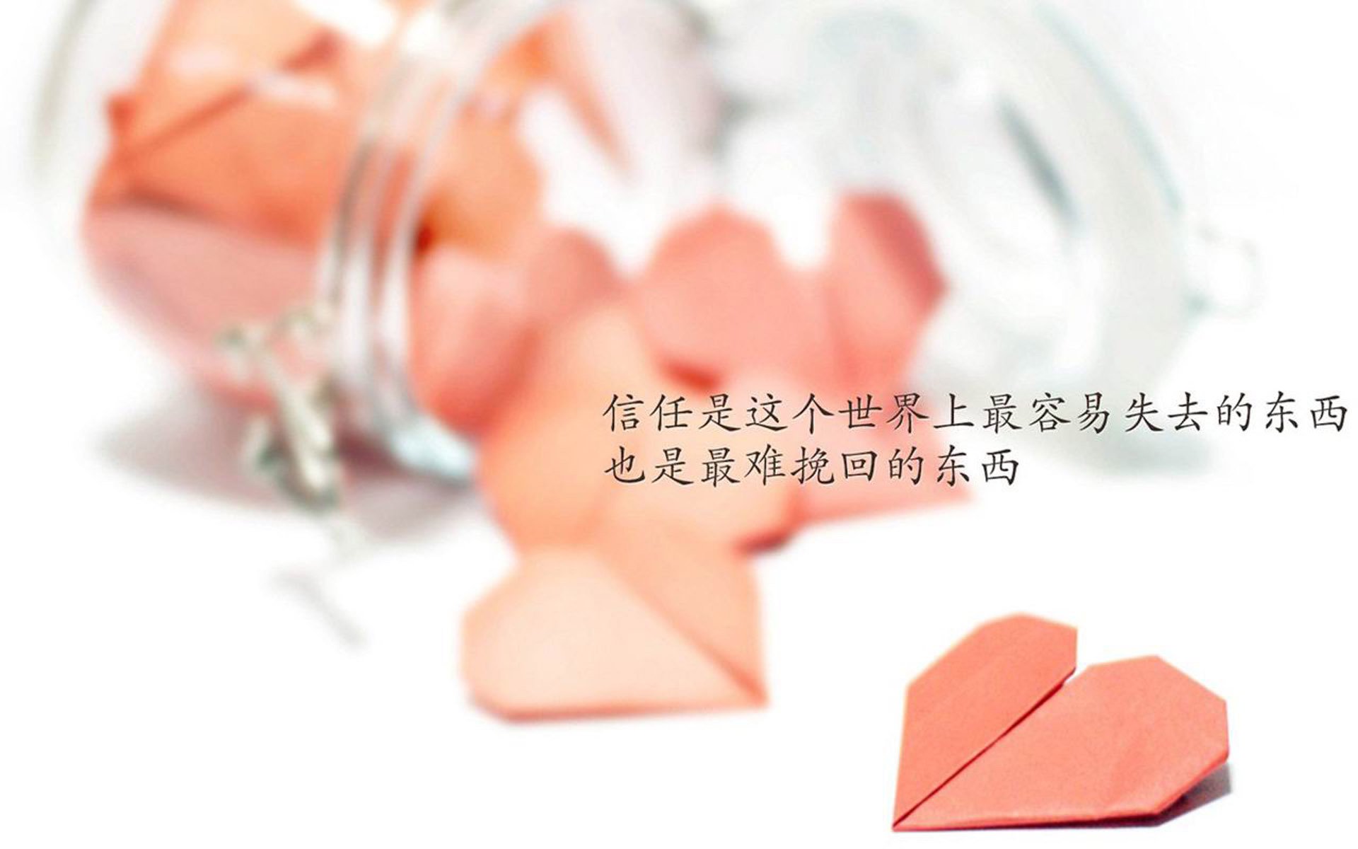 KAIYUN 中国大陆-公牛球队合影曝光展现全新阵容活力满满，公牛的球队