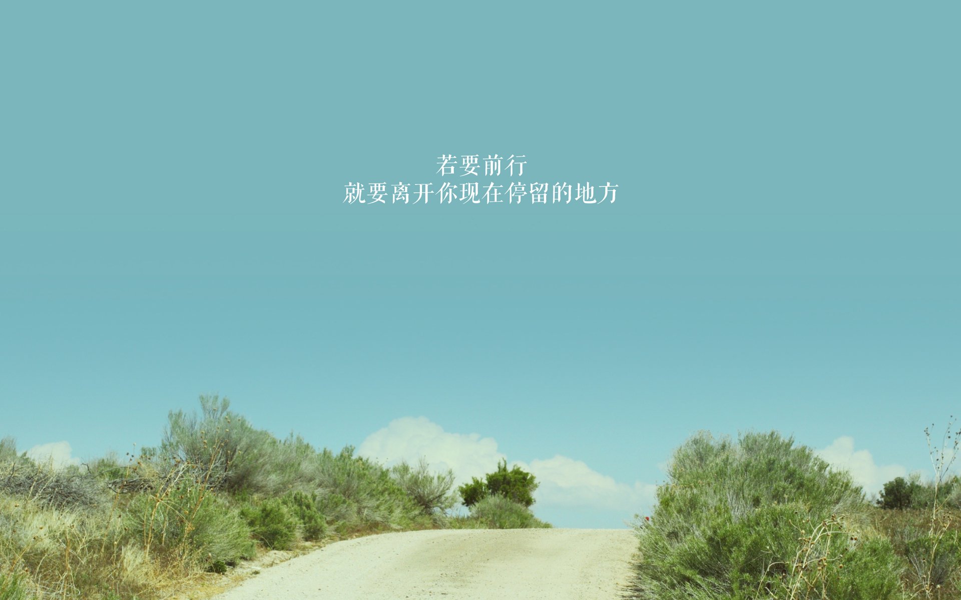 科特迪瓦男篮在非洲锦标赛中连续夺冠,体育事业再跨新台阶,科特迪瓦男篮排名
