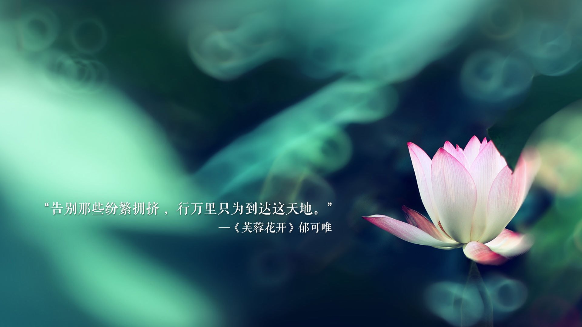 开云体育-黎巴嫩男篮在西亚锦标赛中奋勇夺冠，冲击奥运入场门票，男篮黎巴嫩冲突视频
