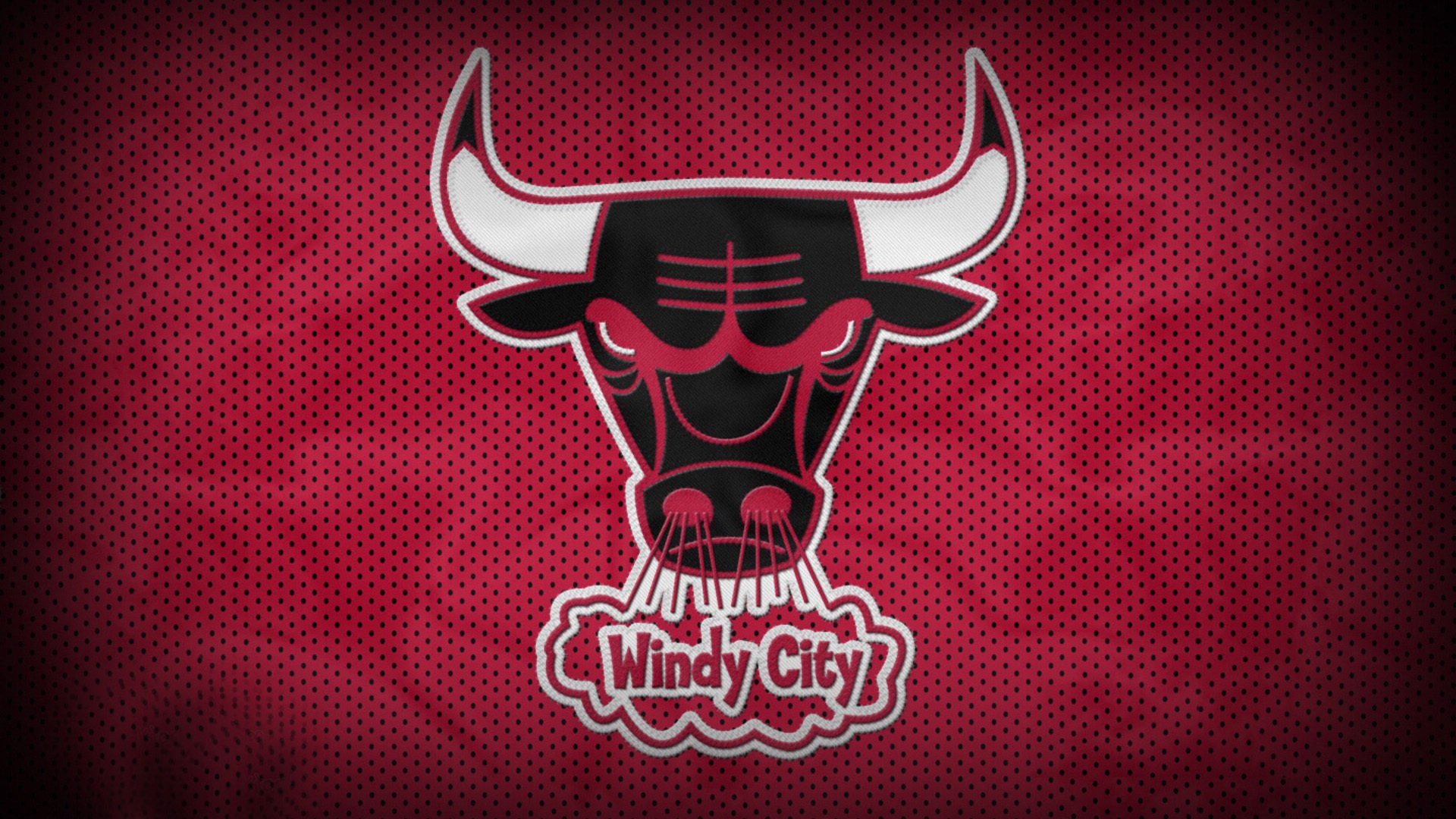 车手成长记：从新手到冠军的梦想之路，车手秘籍